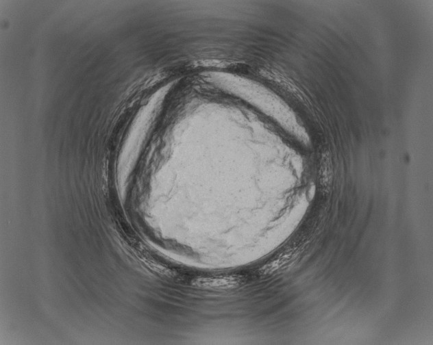 X0000067850639200605111709