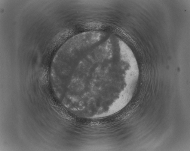 X0000067850641200605111709