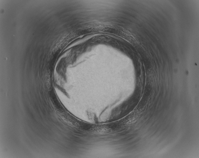 X0000067850642200605111709