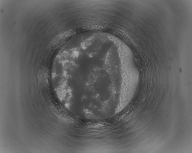 X0000067850643200605111709