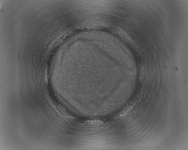 X0000067850644200605111709