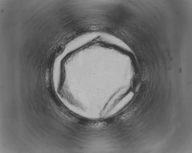 X0000067850646200605111709