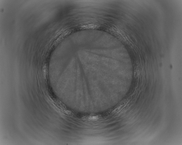 X0000067850647200605111709