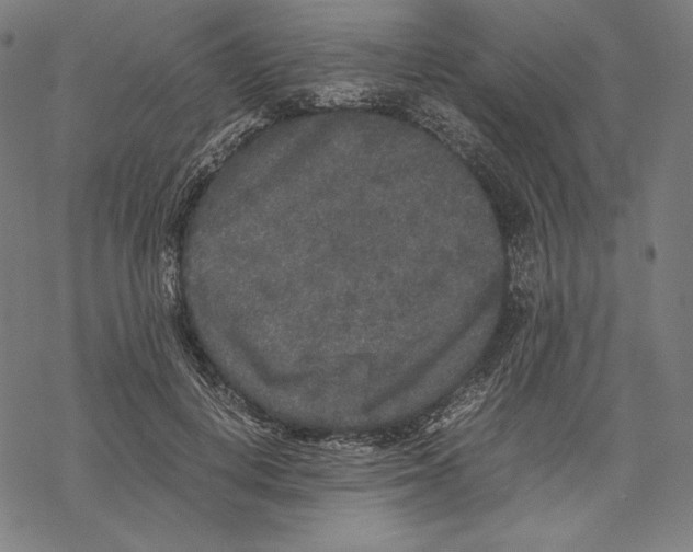 X0000067850648200605111709