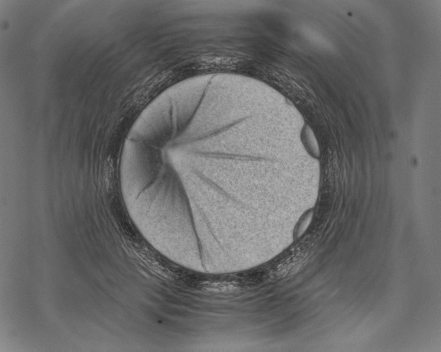 X0000067850649200605111709