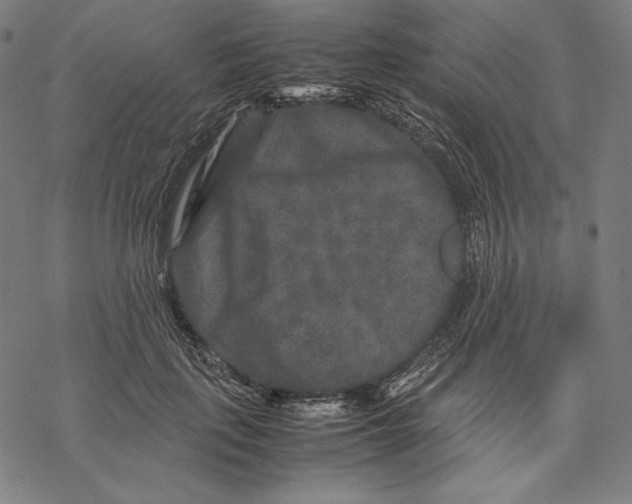 X0000067850651200605111709