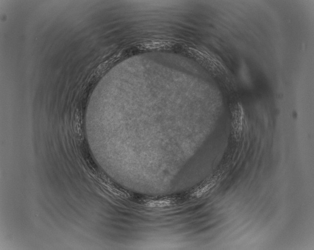 X0000067850653200605111709