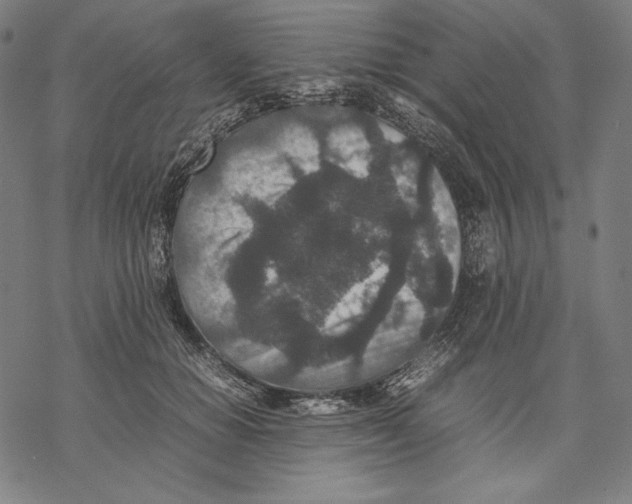 X0000067850654200605111709