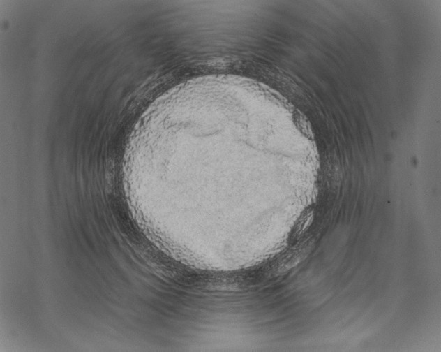 X0000067850656200605111709