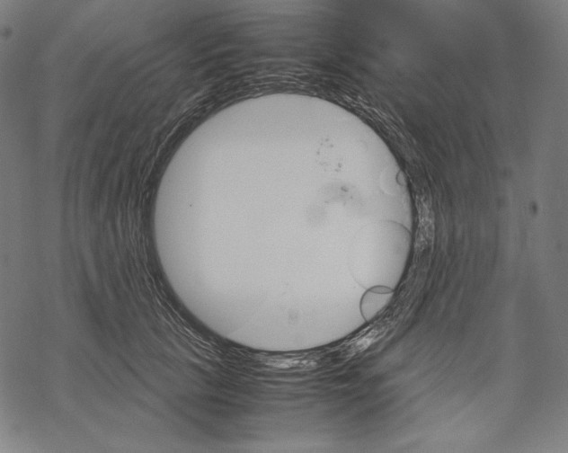 X0000067850657200605111709