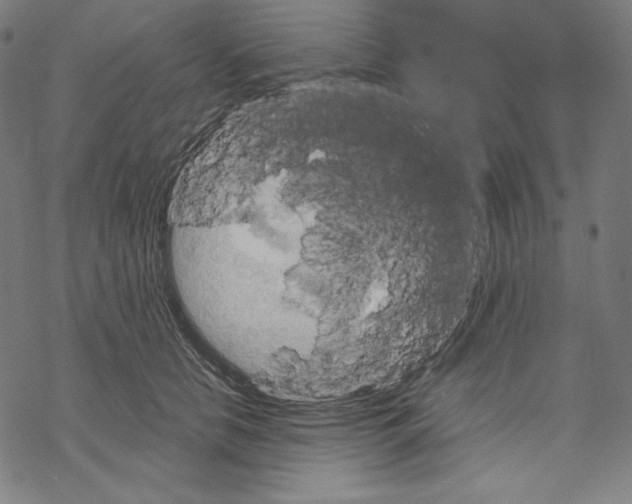 X0000067850658200605111709