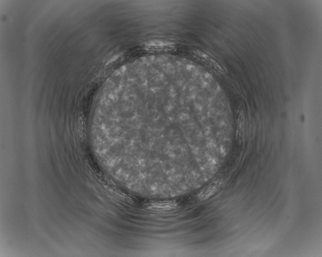 X0000067850659200605111709