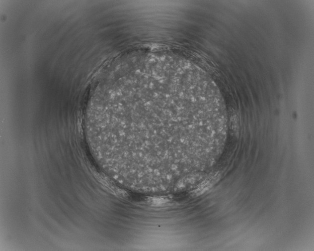 X0000067850662200605111709