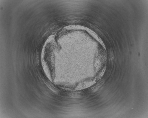 X0000067850664200605111709