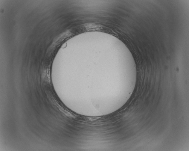 X0000067850666200605111709