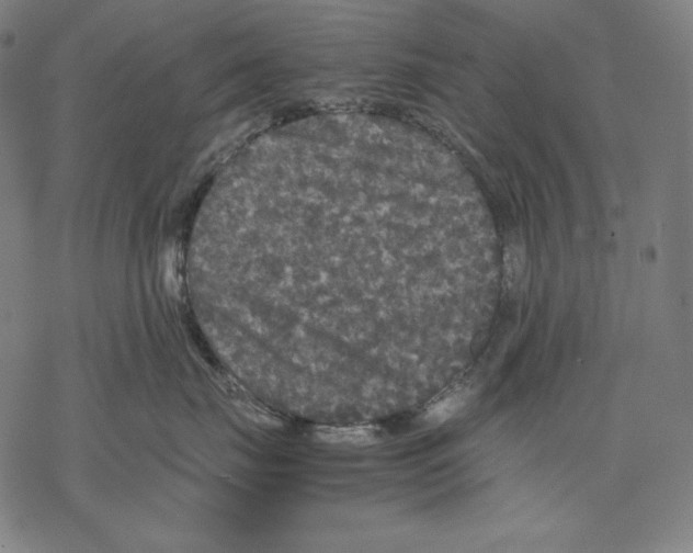 X0000067850671200605111709