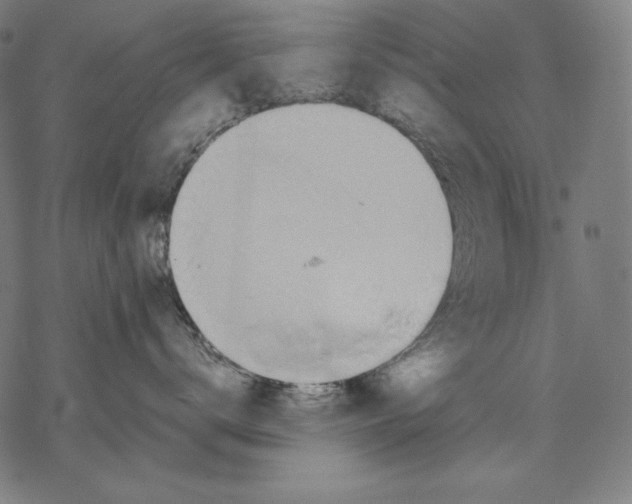 X0000067850672200605111709