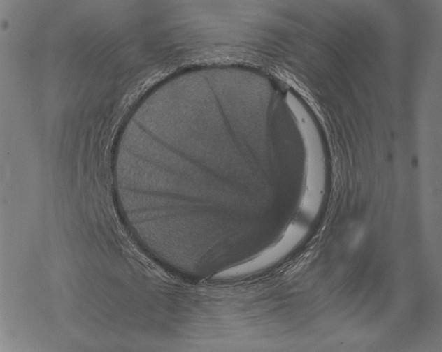 X0000067850673200605111709