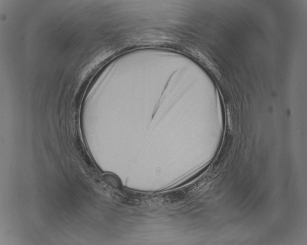 X0000067850675200605111709