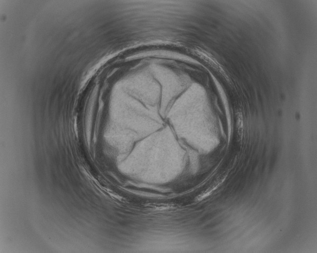 X0000067850676200605111709