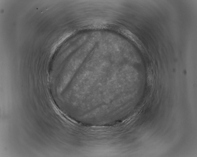 X0000067850677200605111709