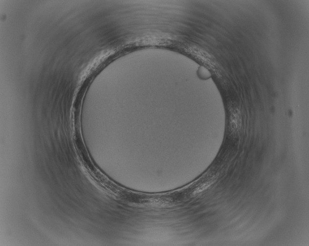 X0000067850678200605111709