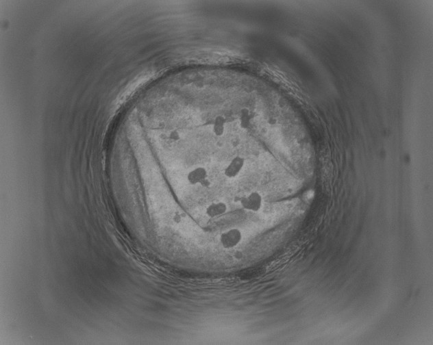 X0000067850679200605111709