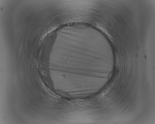 X0000067850681200605111709