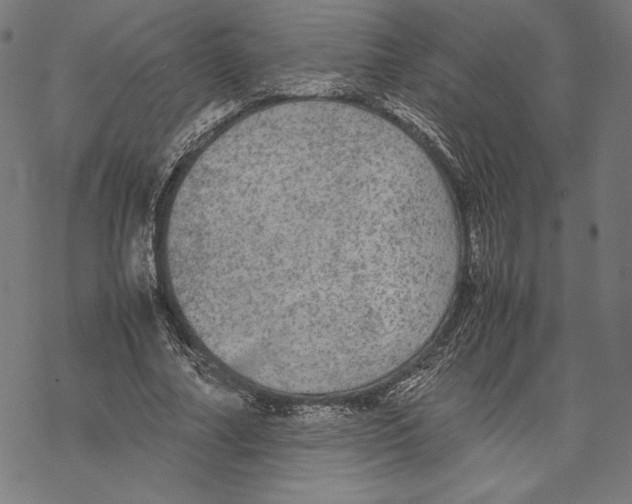 X0000067850682200605111709