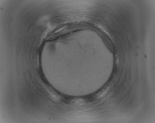 X0000067850685200605111708