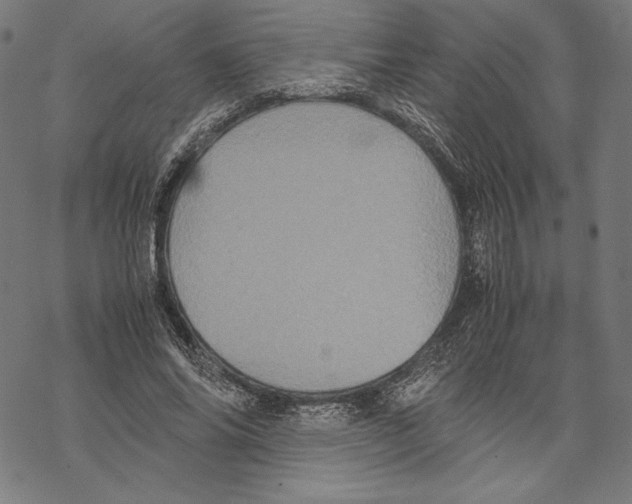 X0000067850686200605111708