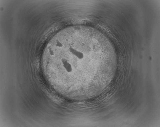 X0000067850687200605111708