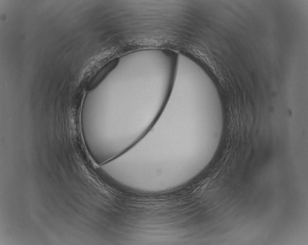 X0000067850688200605111708