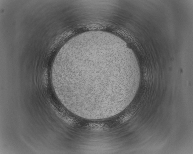 X0000067850690200605111708