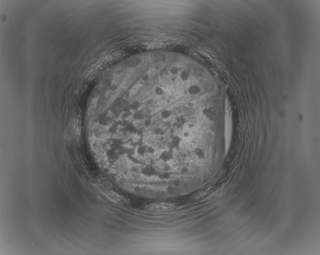 X0000067850691200605111708