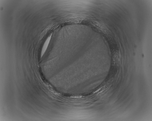 X0000067850693200605111708