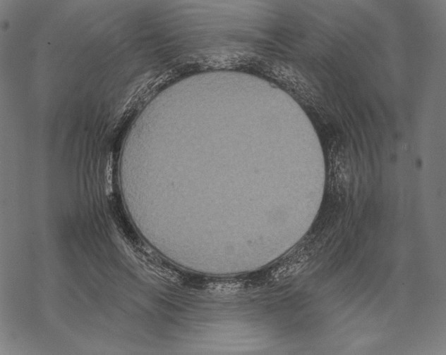 X0000067850694200605111708