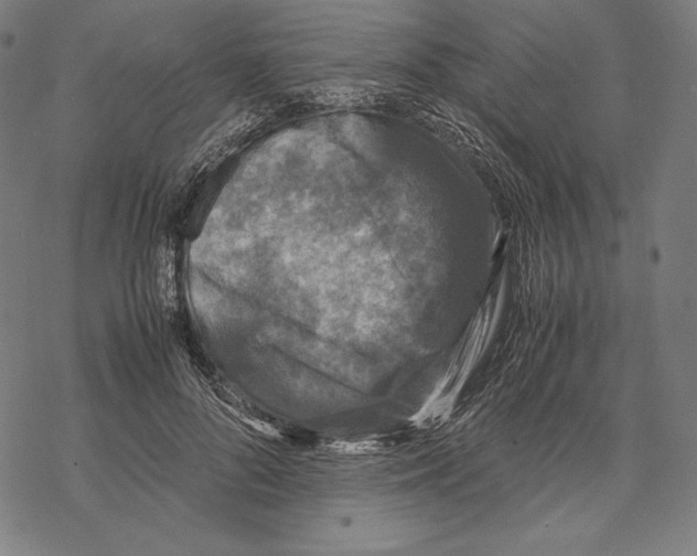 X0000067850696200605111708