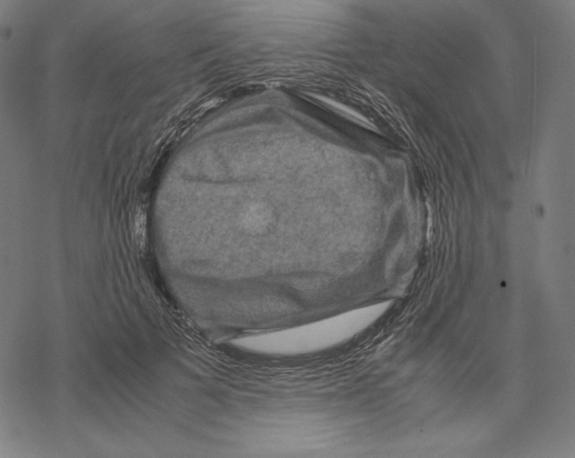 X0000067850697200605111708