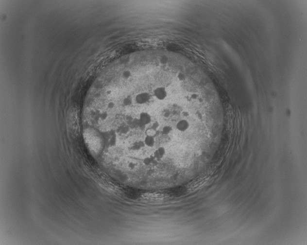 X0000067850699200605111708