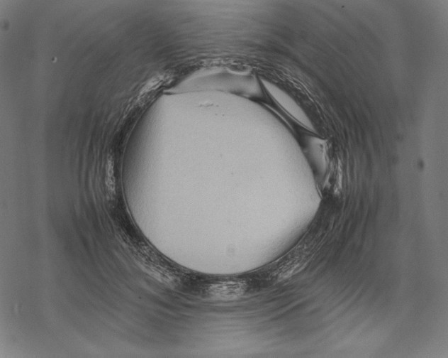 X0000067850700200605111708