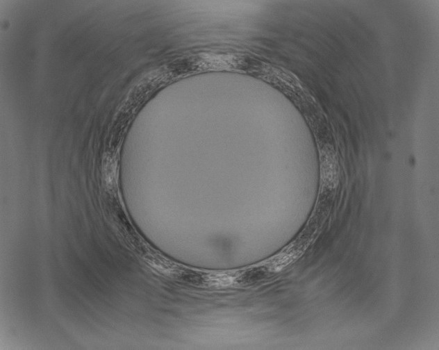 X0000067850701200605111708