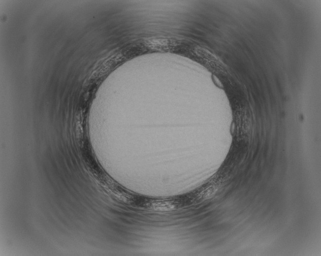 X0000067850702200605111708