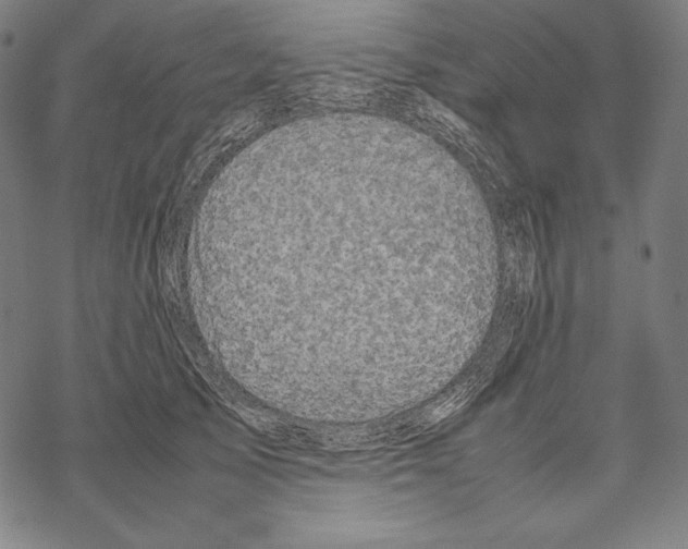 X0000067850705200605111708