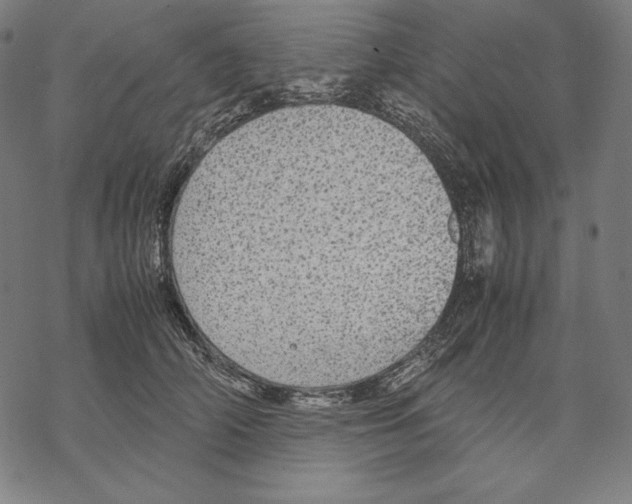 X0000067850706200605111708