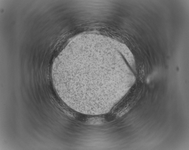 X0000067850708200605111708