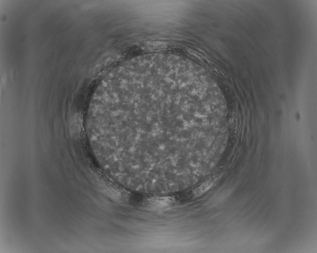 X0000067850711200605111708