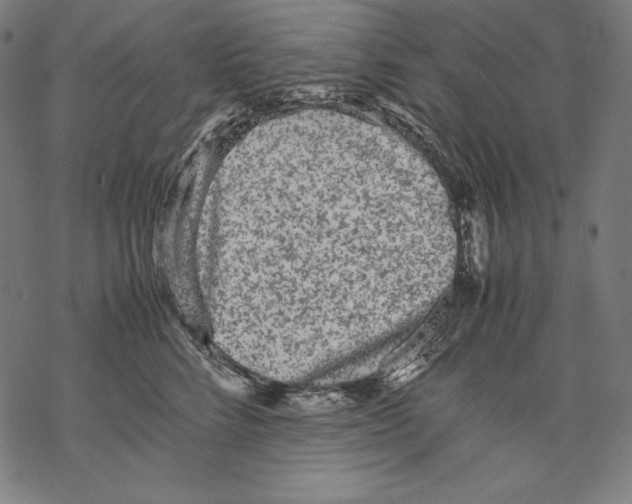 X0000067850712200605111708