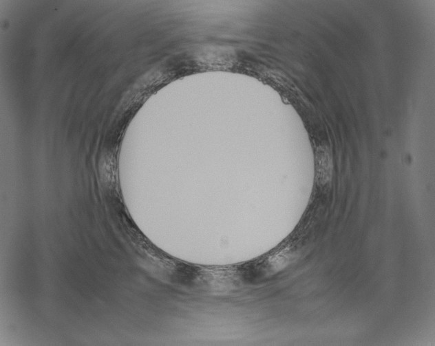 X0000067850713200605111708