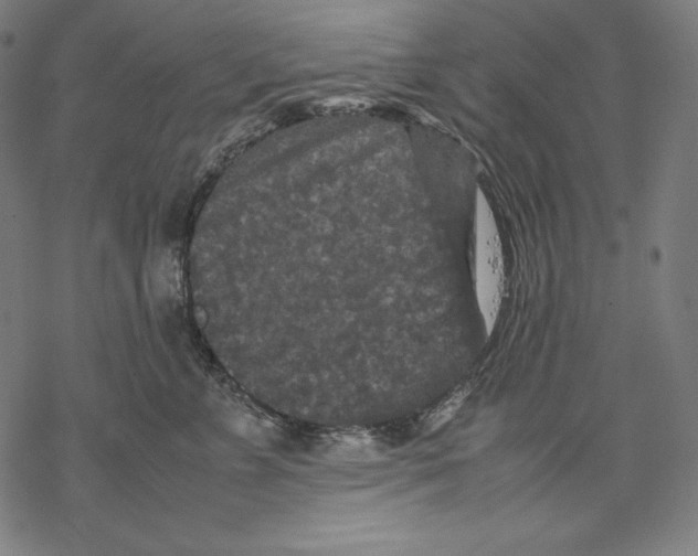 X0000067850715200605111708